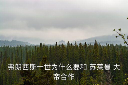 蘇萊曼大帝,蘇萊曼大帝的兒子成為奧斯曼帝國的新繼承人