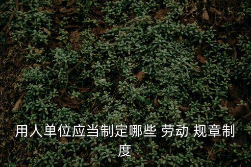 用人單位應(yīng)當(dāng)制定哪些 勞動 規(guī)章制度
