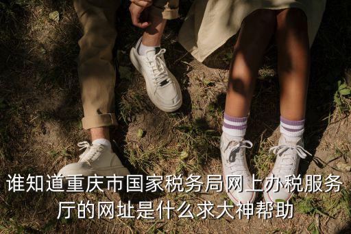 誰(shuí)知道重慶市國(guó)家稅務(wù)局網(wǎng)上辦稅服務(wù)廳的網(wǎng)址是什么求大神幫助