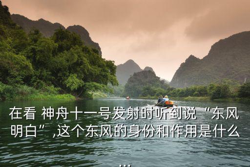 神舟11,中國神舟11號飛船在發射基地成功著陸