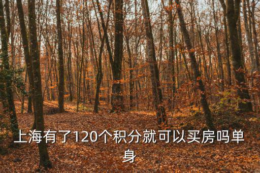 上海有了120個積分就可以買房嗎單身