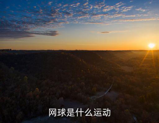 網球是什么運動