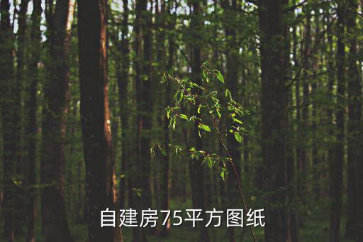 自建房75平方圖紙