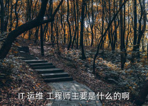 IT 運維 工程師主要是什么的啊