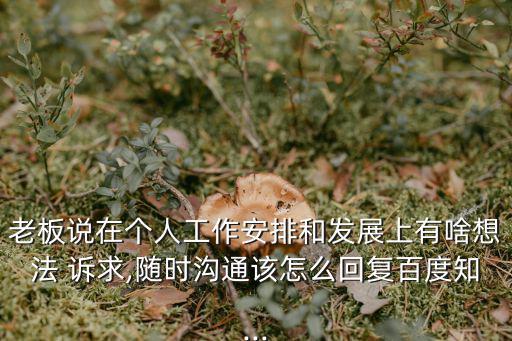 個人訴求,上訴請求:投票日期截止日期下午四點