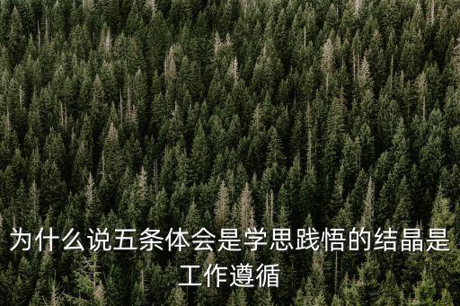 為什么說五條體會(huì)是學(xué)思踐悟的結(jié)晶是工作遵循