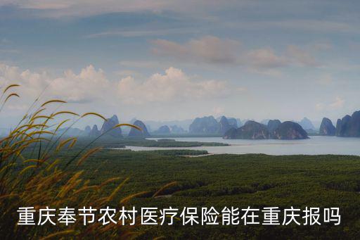 重慶市奉節縣新農合，重慶奉節農村醫療保險能在重慶報嗎