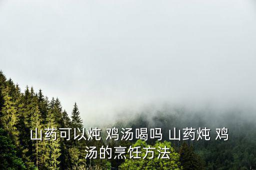  山藥可以燉 雞湯喝嗎 山藥燉 雞湯的烹飪方法