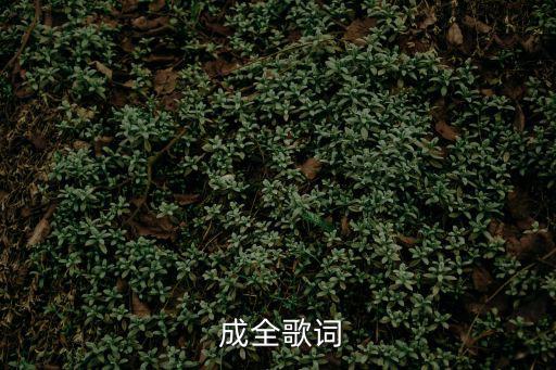 成全劉若英,成全你和她的愛和痛苦