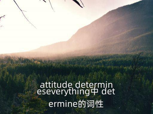 determine的名詞,新傳媒5頻道播出第二場選區(qū)廣播