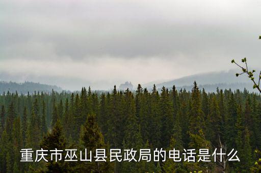 重慶市巫山縣民政局的電話是什么