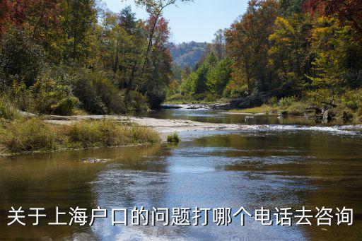 上海學生事務中心 落戶電話，上海市大學生事務中心地址