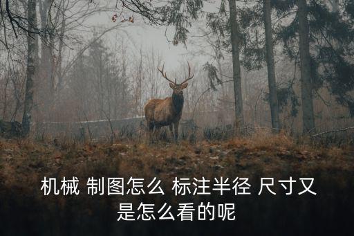  機(jī)械 制圖怎么 標(biāo)注半徑 尺寸又是怎么看的呢