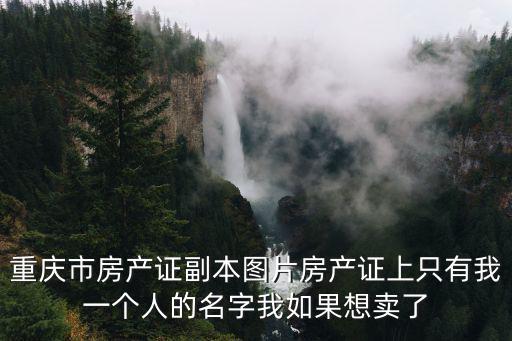 重慶市房產證副本圖片房產證上只有我一個人的名字我如果想賣了