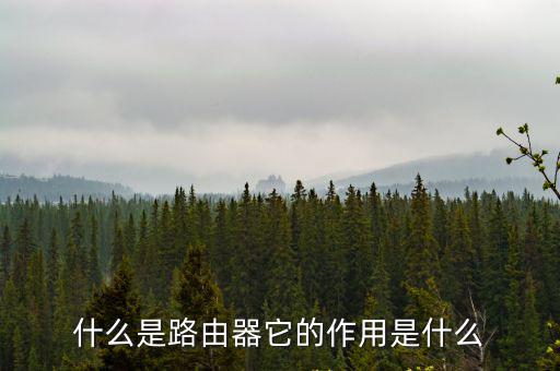 什么是路由器它的作用是什么