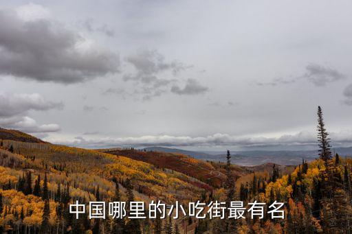 中國哪里的小吃街最有名