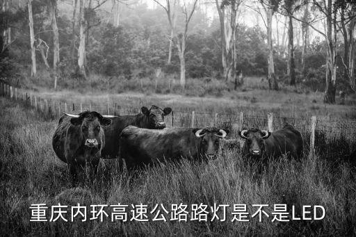 重慶市路燈設施，重慶內環高速公路路燈是不是LED