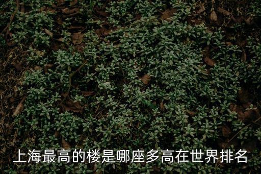 上海最高的樓是哪座多高在世界排名