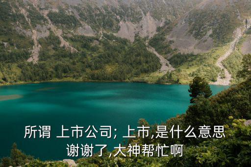所謂 上市公司; 上市,是什么意思謝謝了,大神幫忙啊