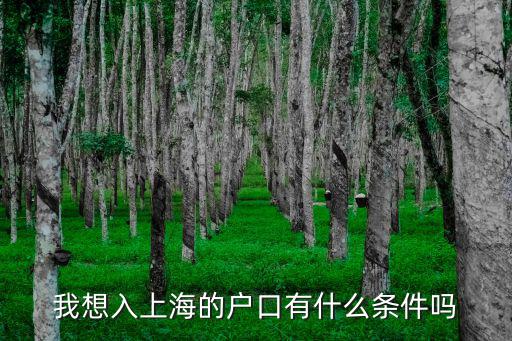 我想入上海的戶口有什么條件嗎