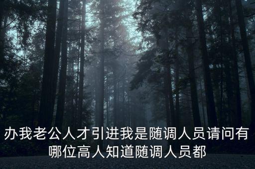 辦我老公人才引進我是隨調人員請問有哪位高人知道隨調人員都