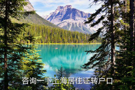 咨詢一下上海居住證轉戶口