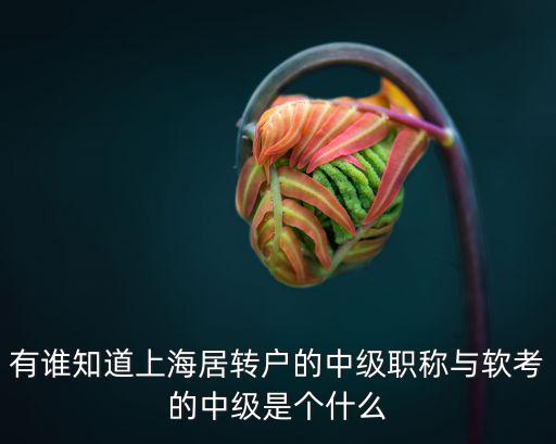 有誰知道上海居轉戶的中級職稱與軟考的中級是個什么