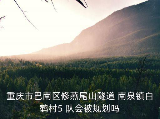 重慶市巴南區修燕尾山隧道 南泉鎮白鶴村5 隊會被規劃嗎