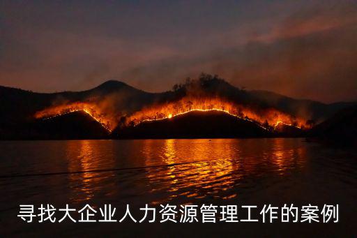 人力資源管理案例，人力資源管理案例1