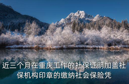 近三個月在重慶工作的社保證明加蓋社保機構(gòu)印章的繳納社會保險憑