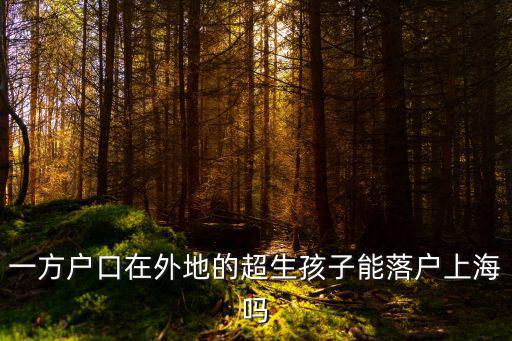 一方戶口在外地的超生孩子能落戶上海嗎
