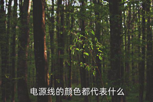  電源線的顏色都代表什么
