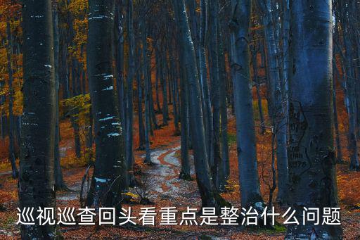 重慶市委巡視查擺問題，巡查問題