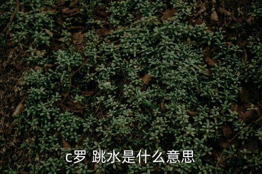 跳水圖片,馬國網民惡搞網絡游泳池泡溫泉網嘲小羅假摔