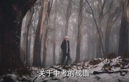 關于中考的成語