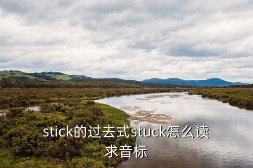 stick的過去式stuck怎么讀求音標