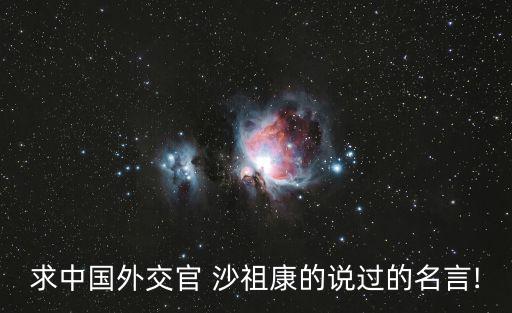 沙祖康,沙祖康:美國指責我人權最好閉嘴保持冷靜