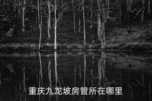 重慶九龍坡房管所在哪里
