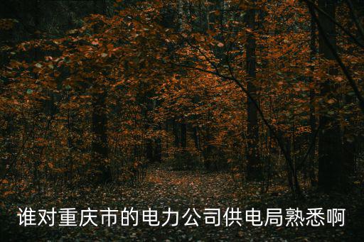 重慶市電力公司三驅供電所，誰對重慶市的電力公司供電局熟悉啊