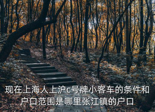 現在上海人上滬c號牌小客車的條件和戶口范圍是哪里張江鎮的戶口