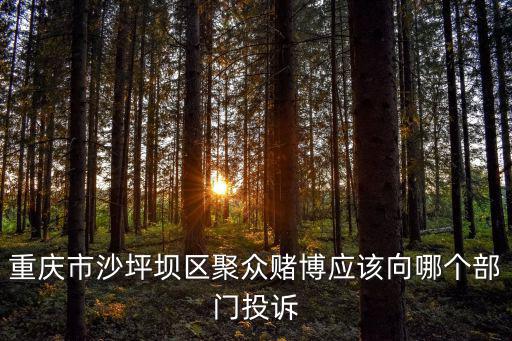 重慶市沙坪壩區(qū)聚眾賭博應(yīng)該向哪個部門投訴