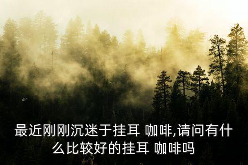 最近剛剛沉迷于掛耳 咖啡,請問有什么比較好的掛耳 咖啡嗎