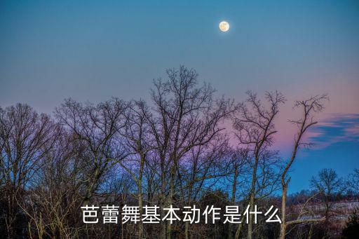 芭蕾舞的基本動(dòng)作,芭蕾舞鞋的秘密