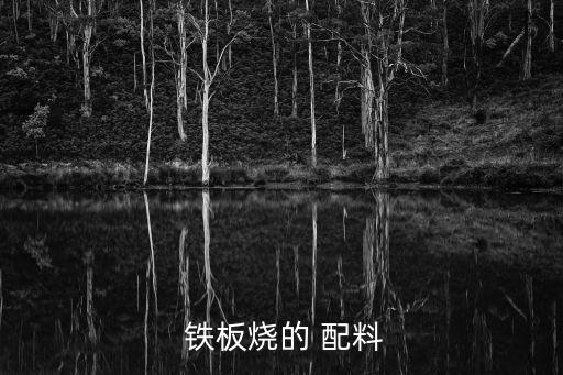  鐵板燒的 配料