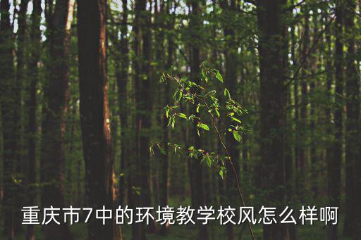 重慶市7中的環境教學校風怎么樣啊