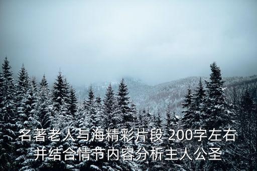 名著老人與海精彩片段 200字左右并結合情節內容分析主人公圣