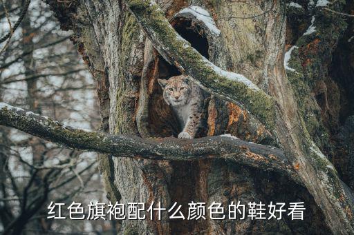 紅色旗袍配什么顏色的鞋好看