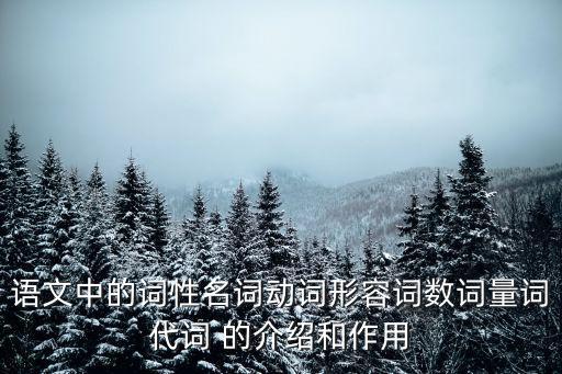 語文中的詞性名詞動詞形容詞數詞量詞代詞 的介紹和作用