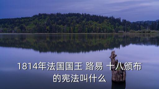 1814年法國國王 路易 十八頒布的憲法叫什么