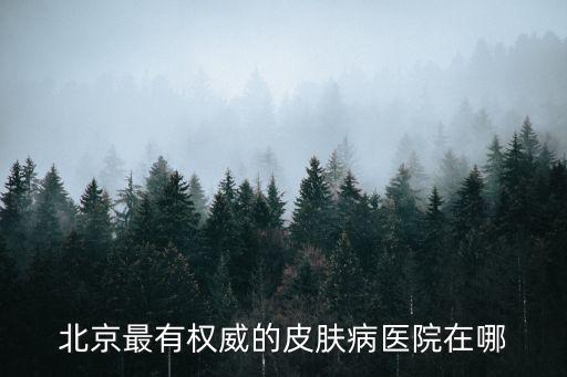 北京最有權威的皮膚病醫院在哪